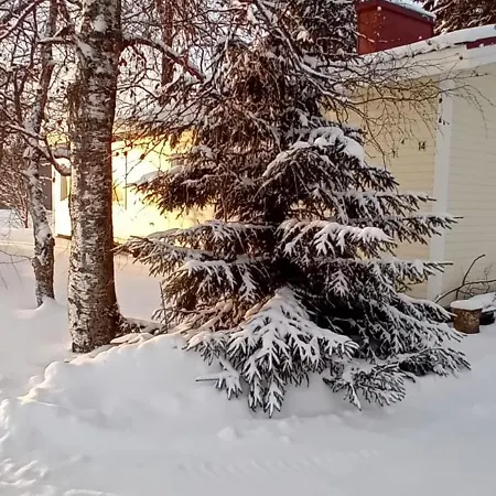 Huone Seesteisessae Mummolassa