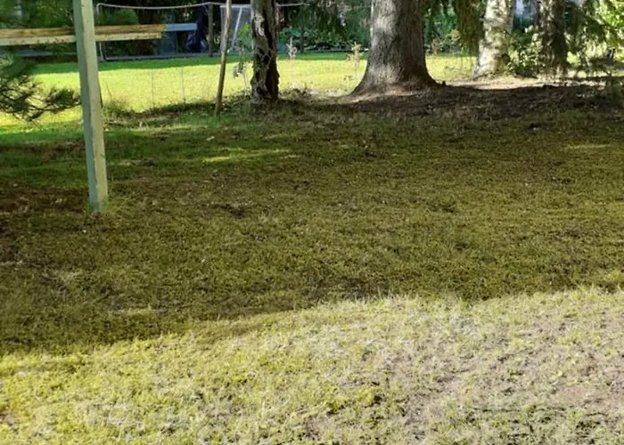 Huone Seesteisessae Mummolassa *